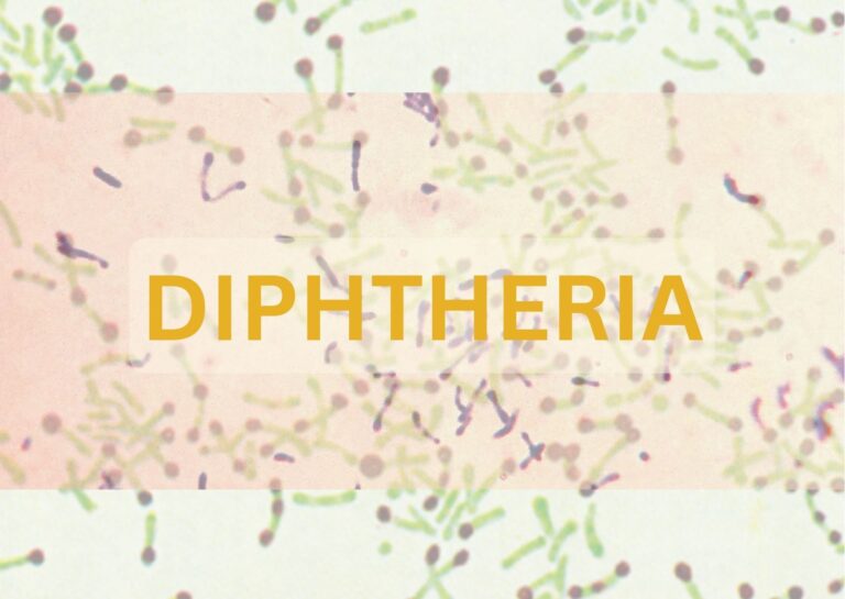 Image showing the diphteria virus